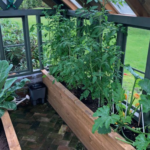 Kasvihuone vanhoista ikkunoista