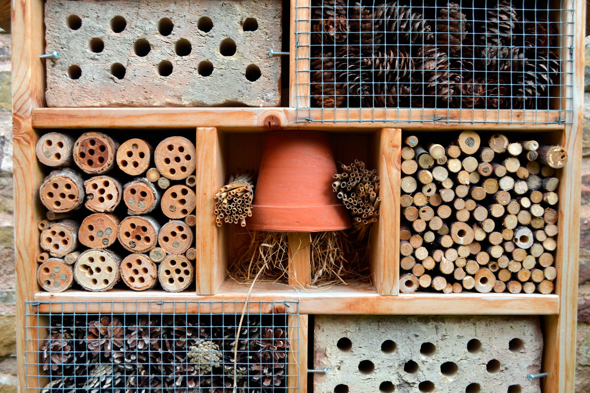 Hyönteishotelli ohje