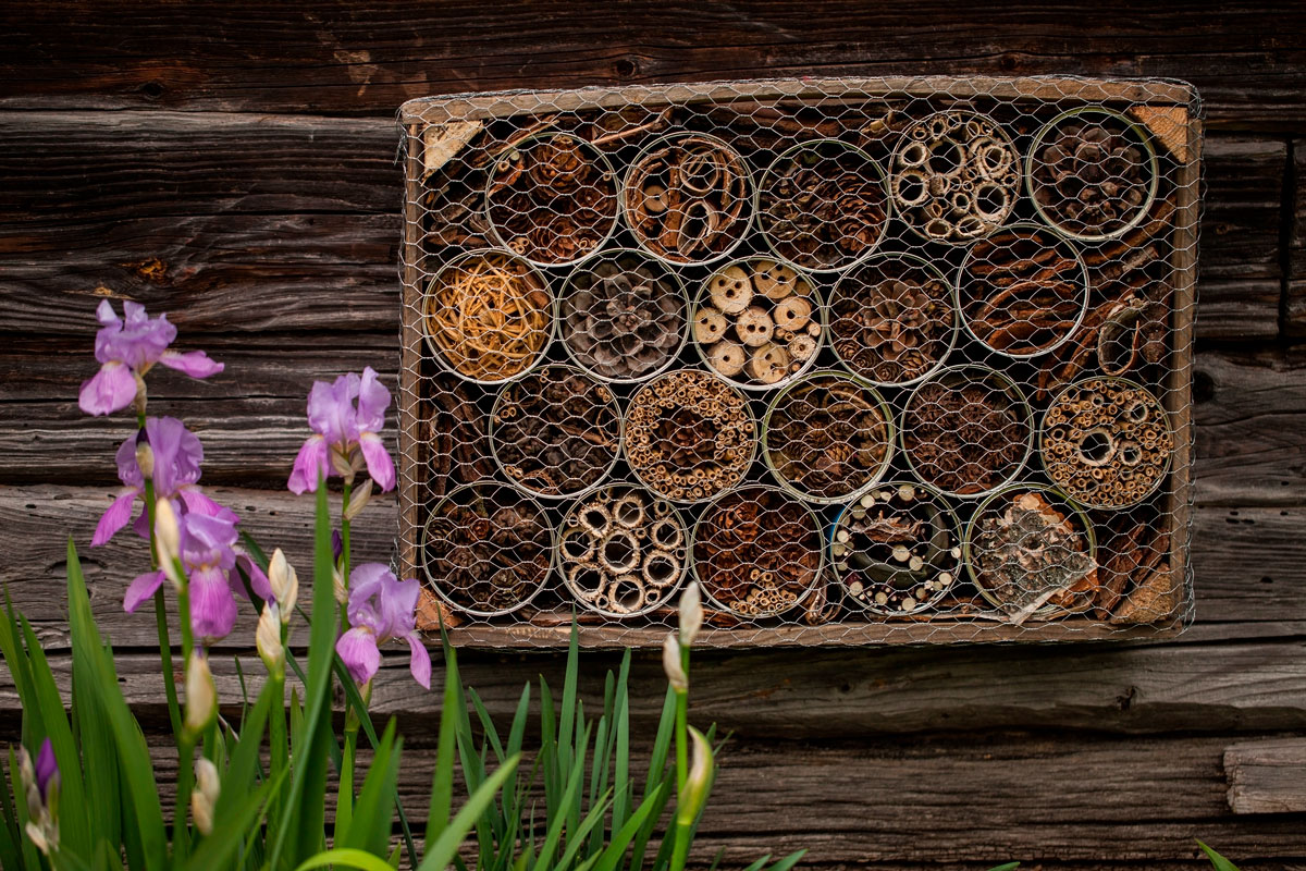 Hyönteishotelli ohje