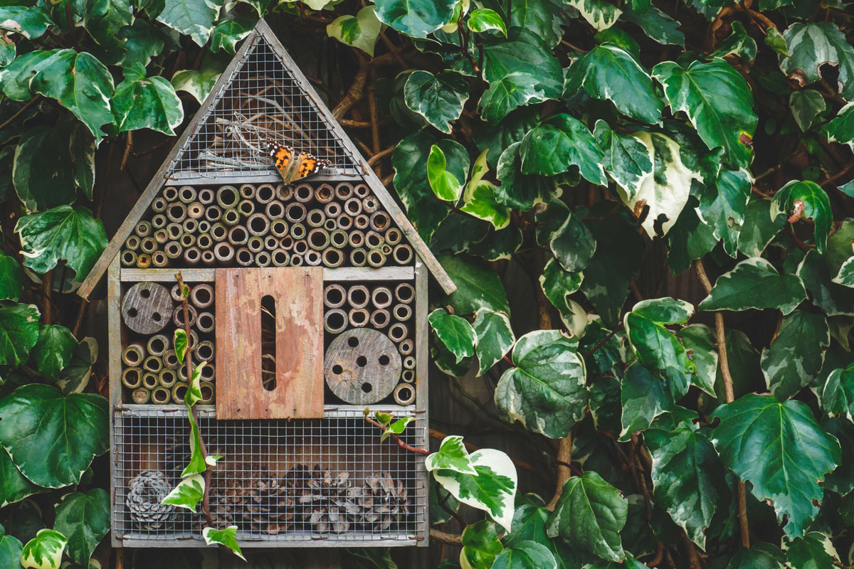 Hyönteishotelli ohje