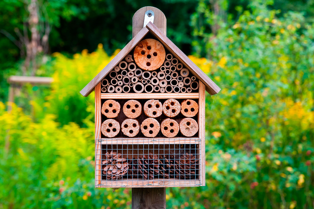 Hyönteishotelli ohje