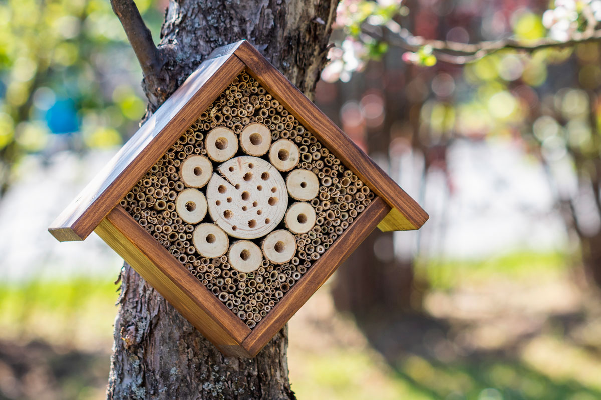 Hyönteishotelli ohje