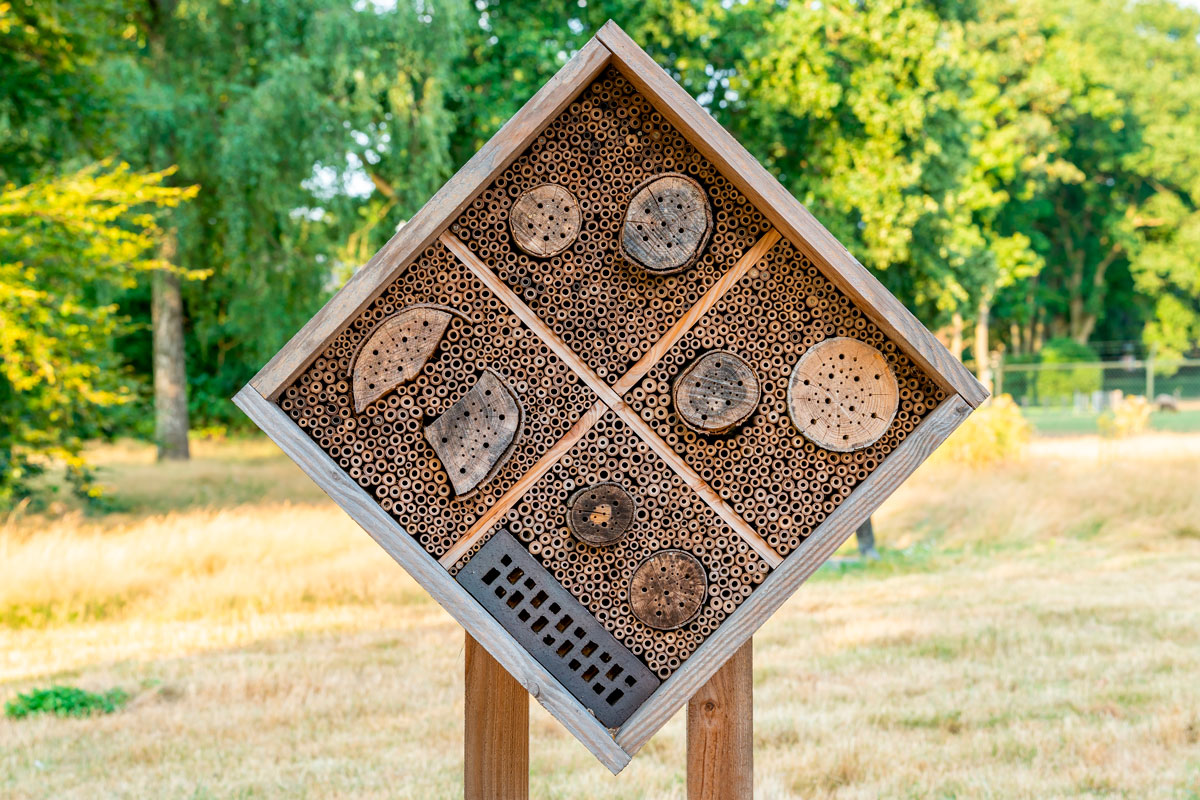 Hyönteishotelli ohje