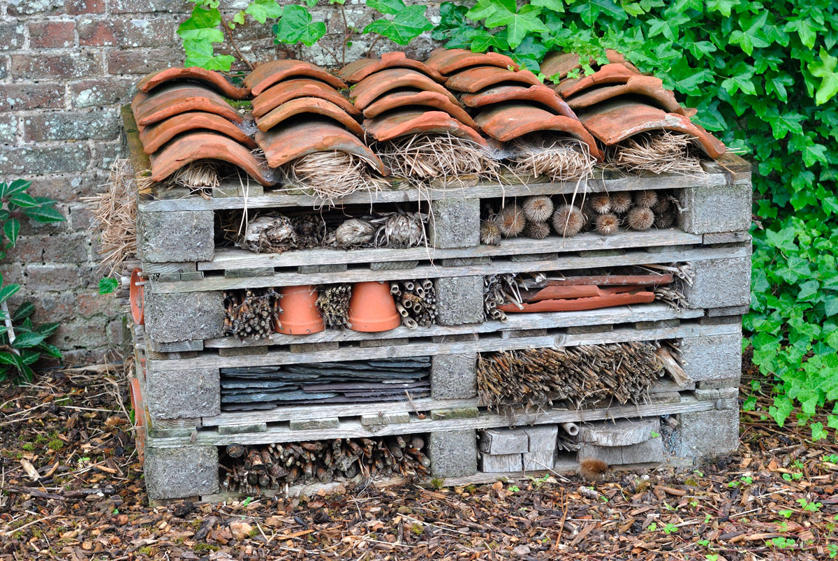 Hyönteishotelli ohje