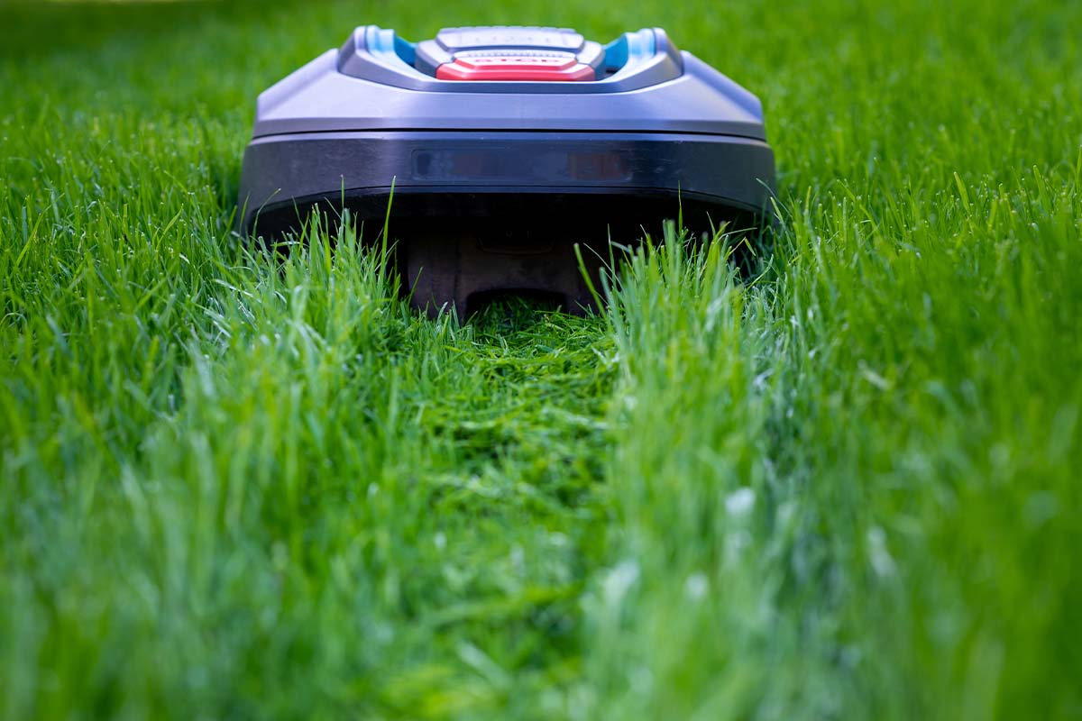 Robottiruohonleikkuri