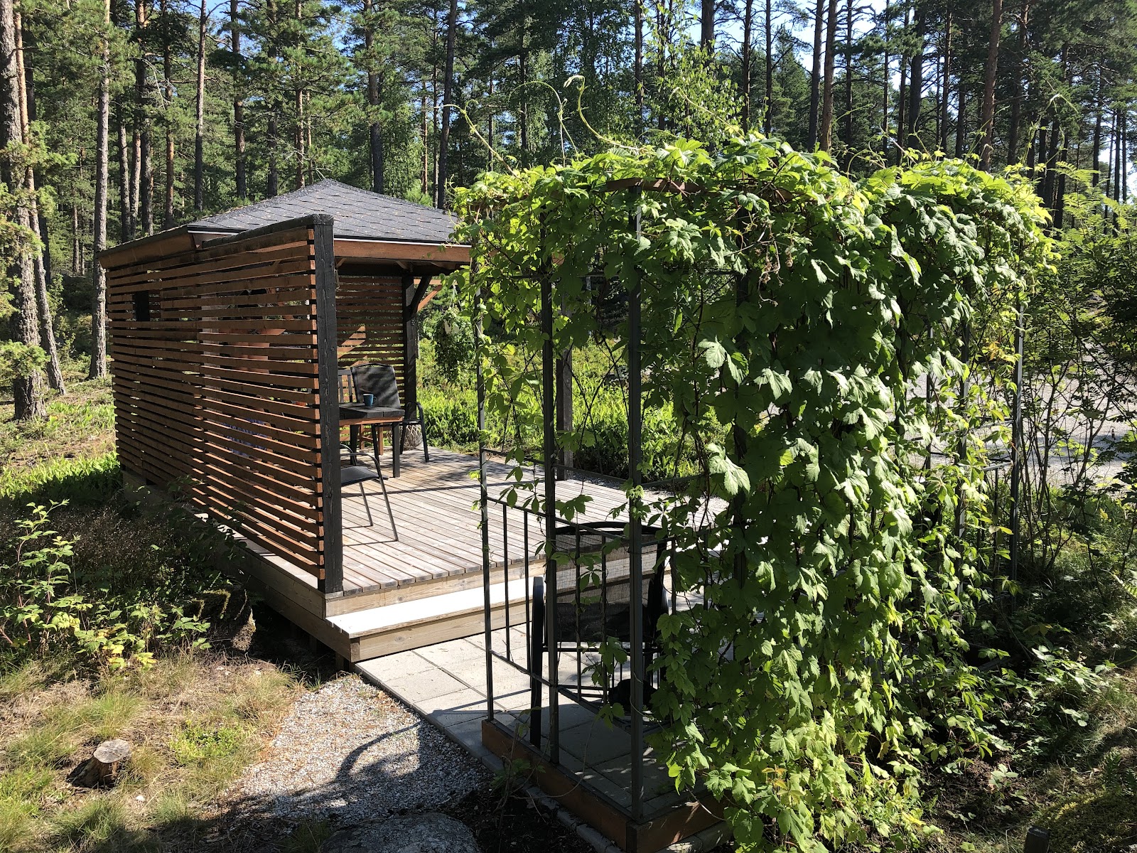 Opførelse af en gårdterrasse og en baldakin