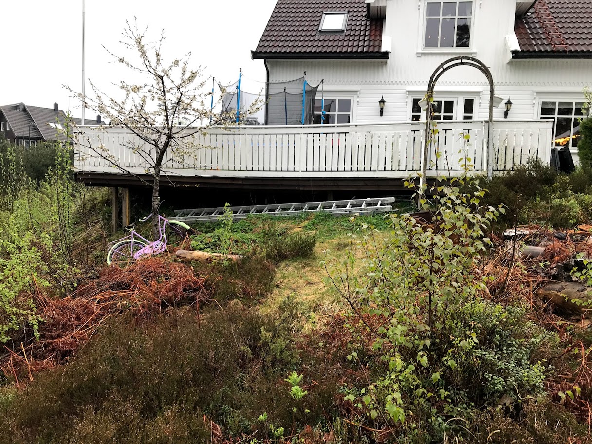 Etablering af terrasse/udemiljø