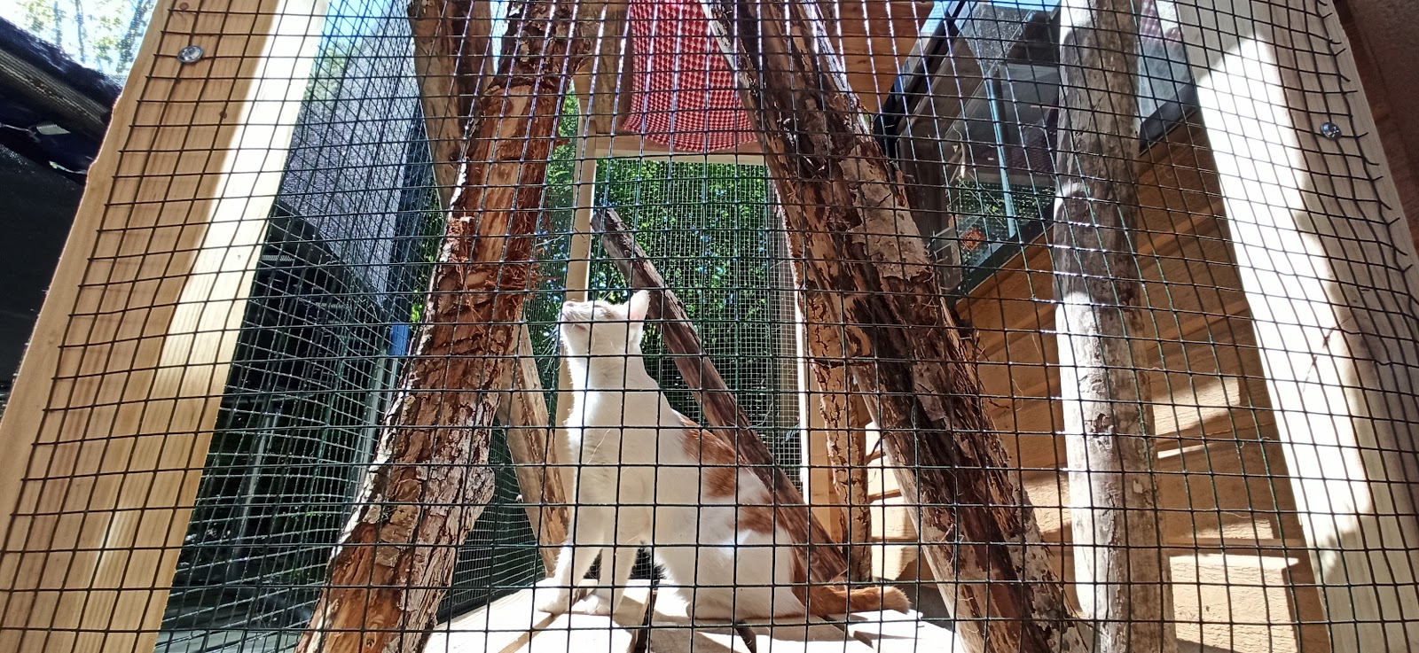 Lille voliere til kattene