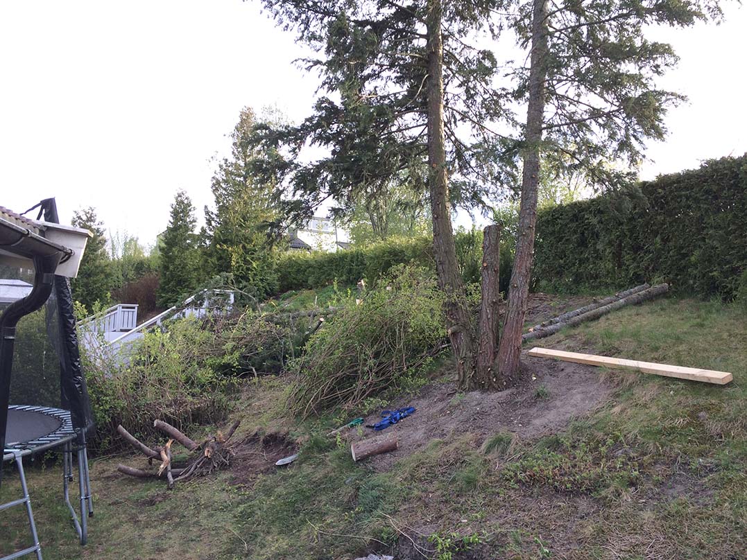 Drømmelegehus i træet!