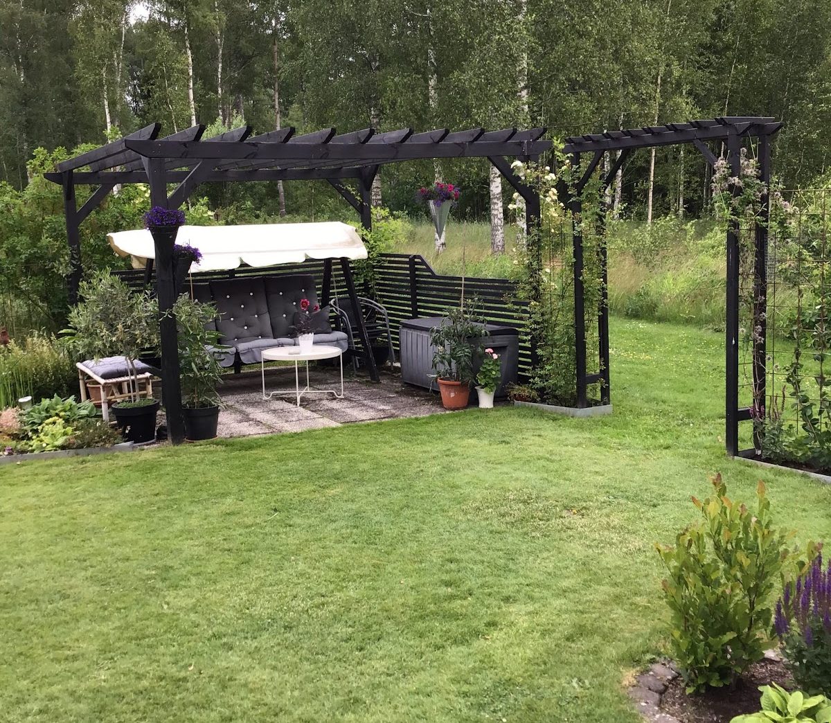 Pergola med klatreplanter