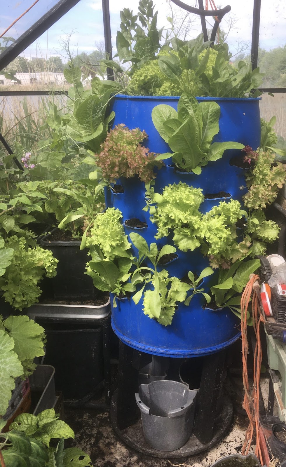 Plantehøjhus til drivhuset