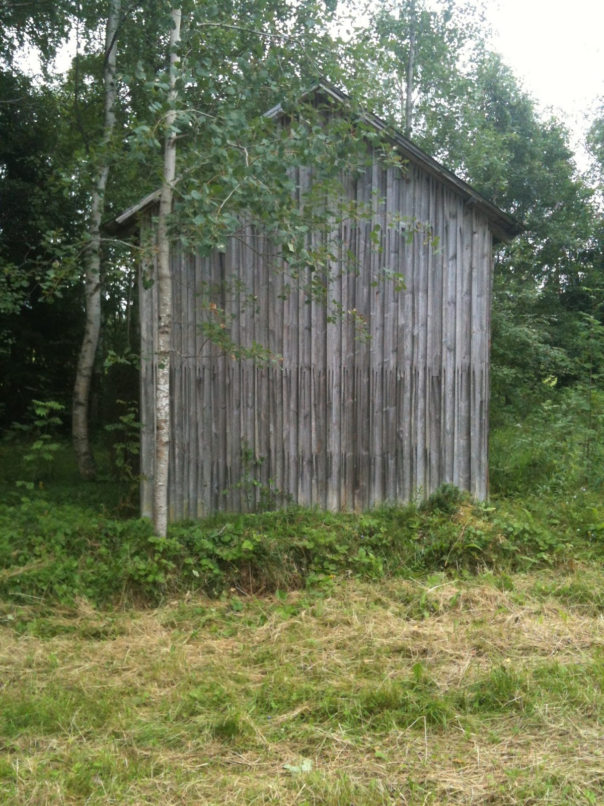 Et nyt liv til et gammelt skur