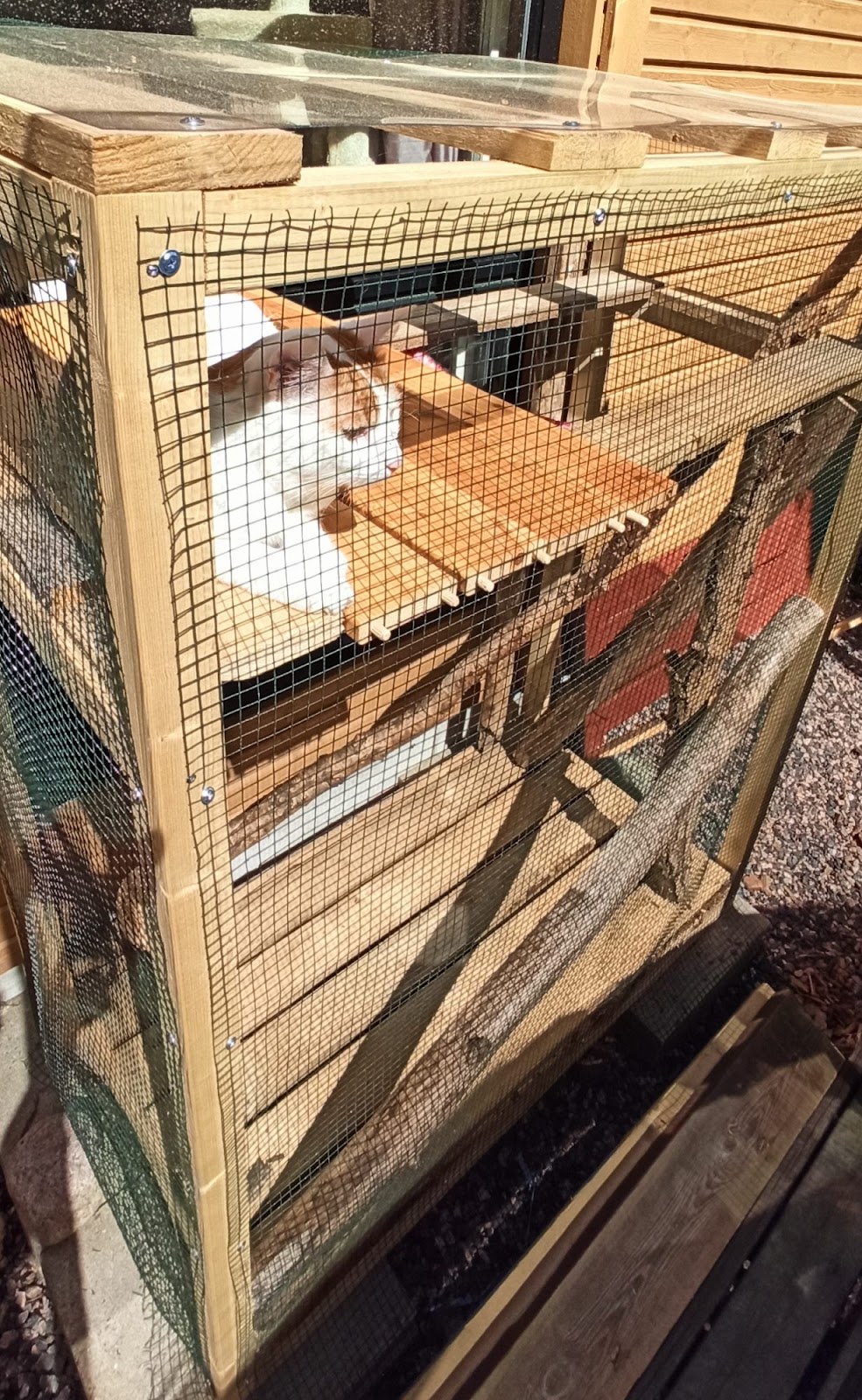 Lille voliere til kattene