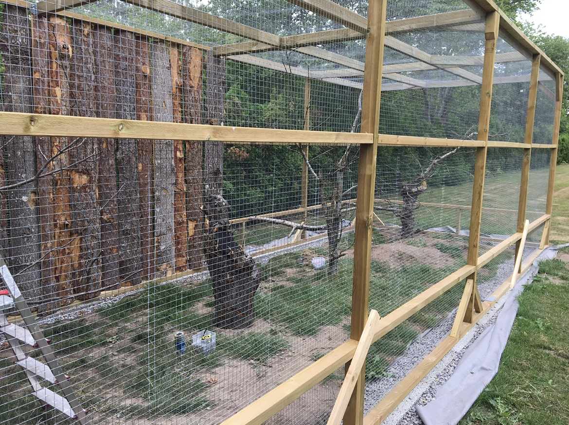 Voliere til tropiske fugle