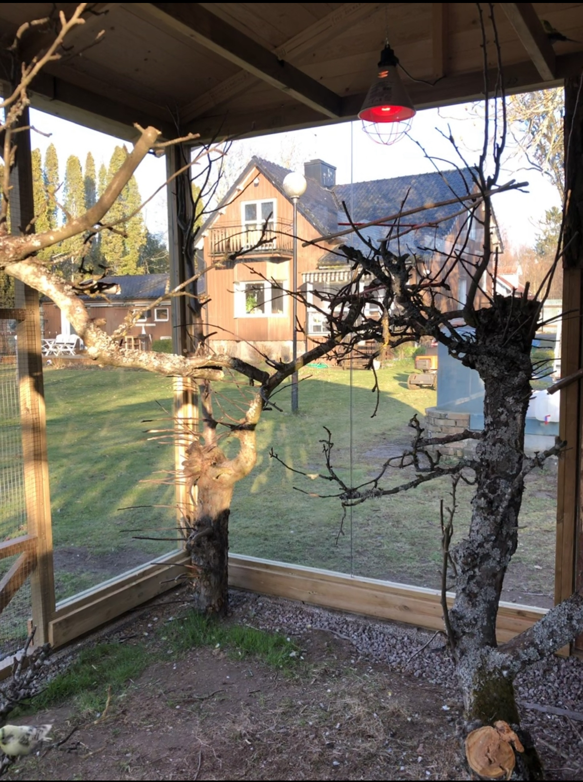 Voliere til tropiske fugle