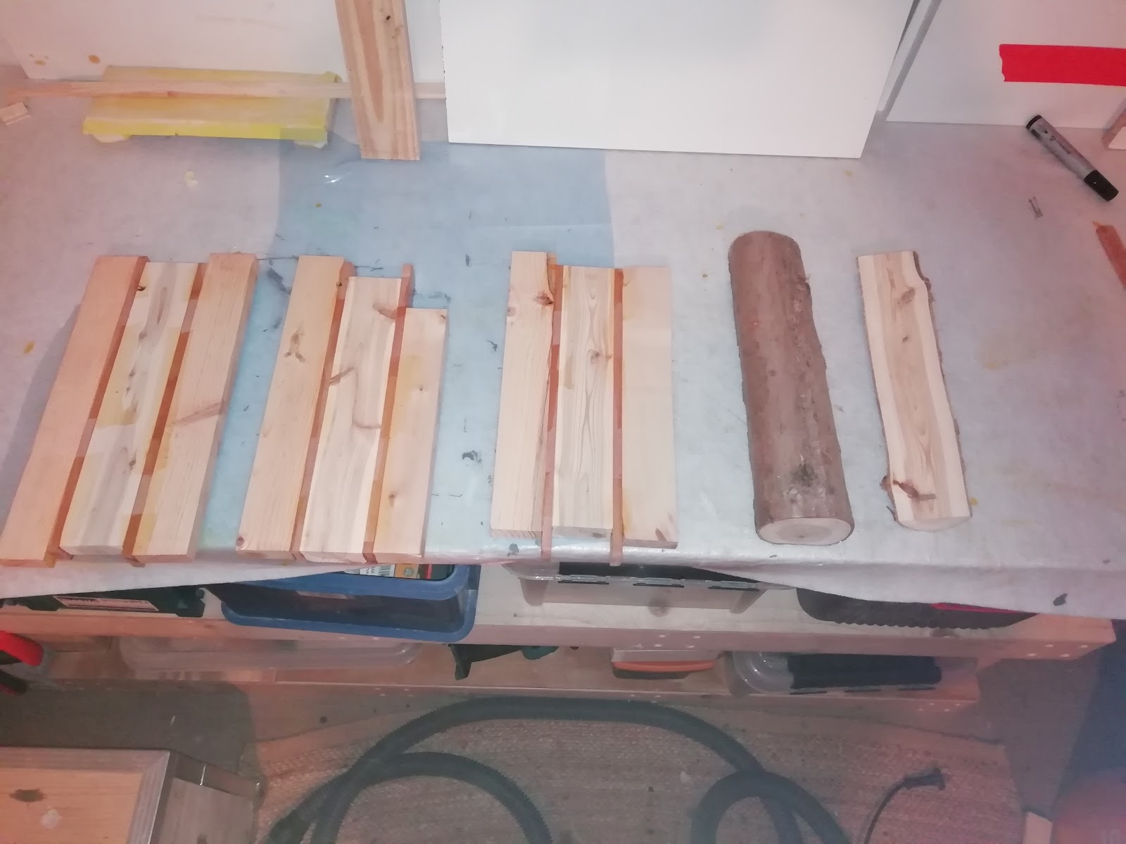 Urne i eg, bøg og tuja