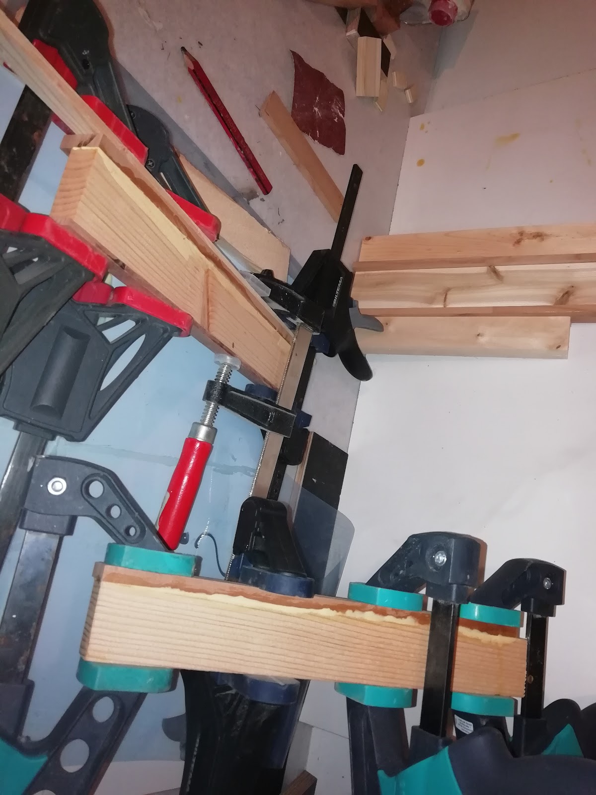 Urne i eg, bøg og tuja