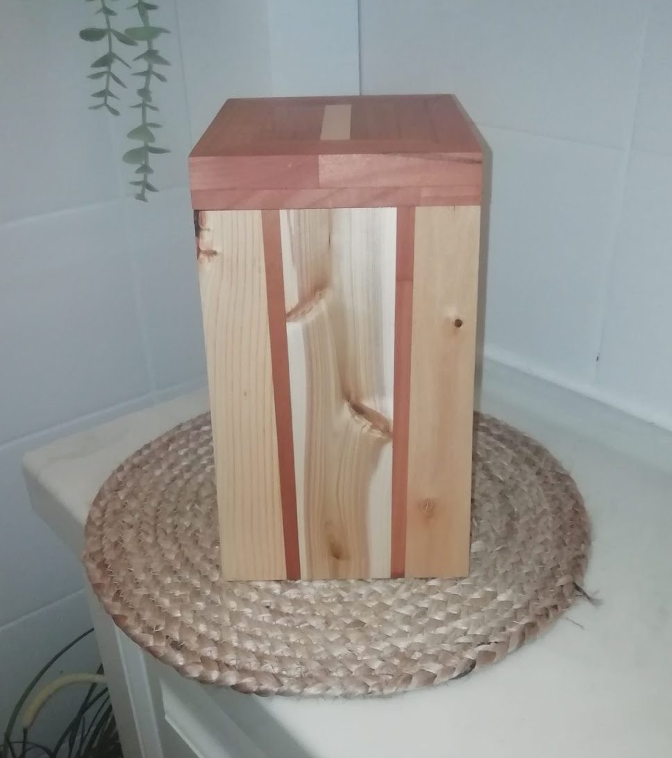 Urne i eg, bøg og tuja