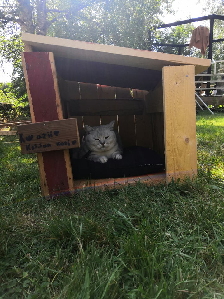 Kattens sommerhus