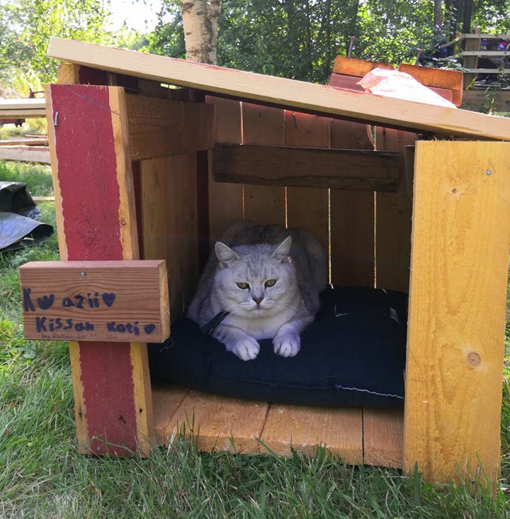 Kattens sommerhus