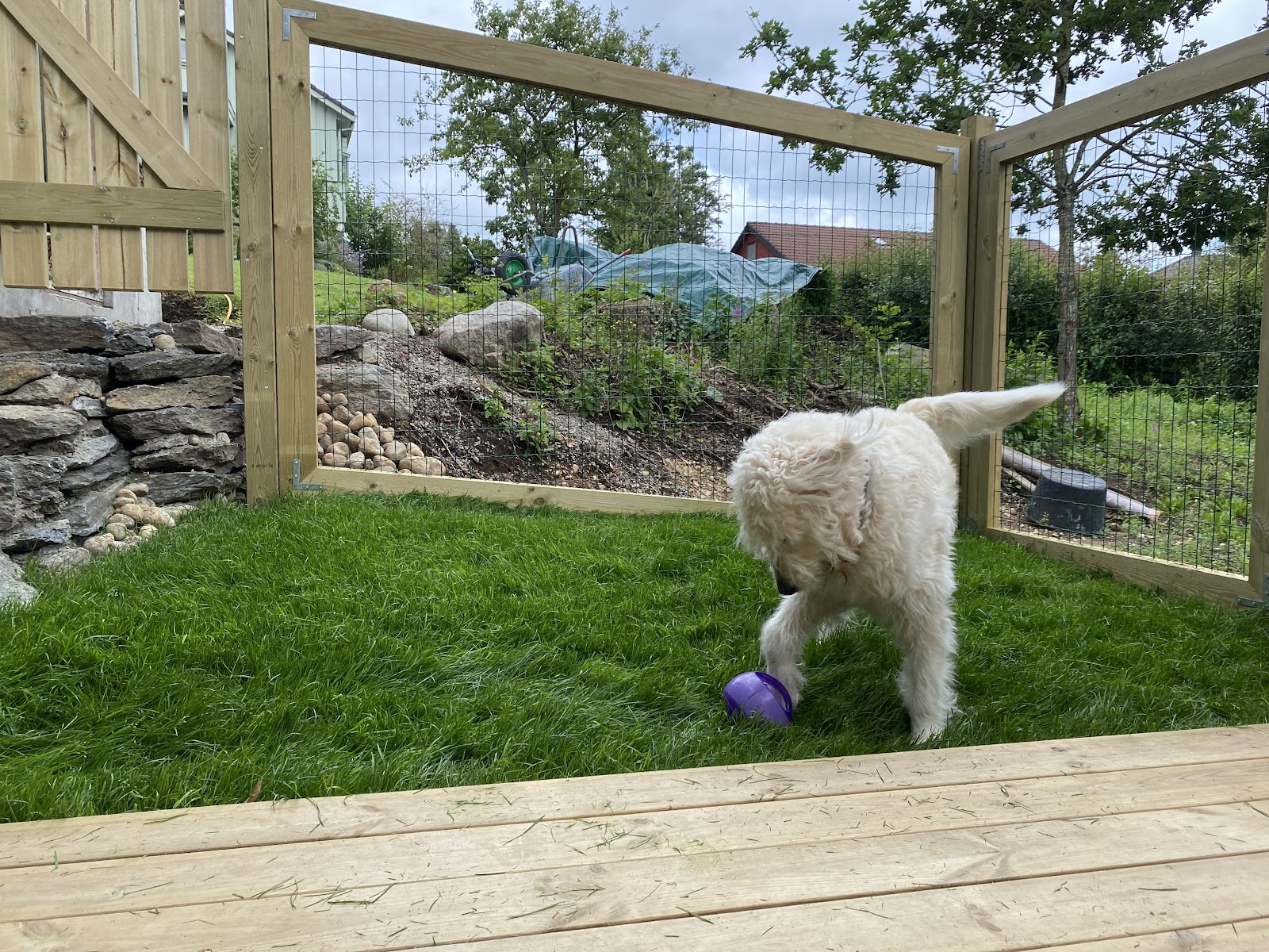 Luftegård til lille hund