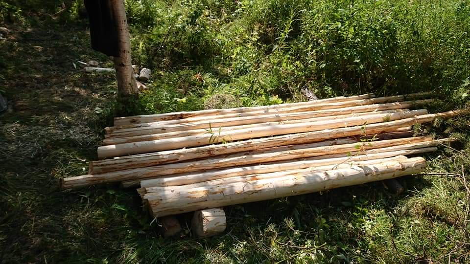 Hævet shelter med fast pladetag