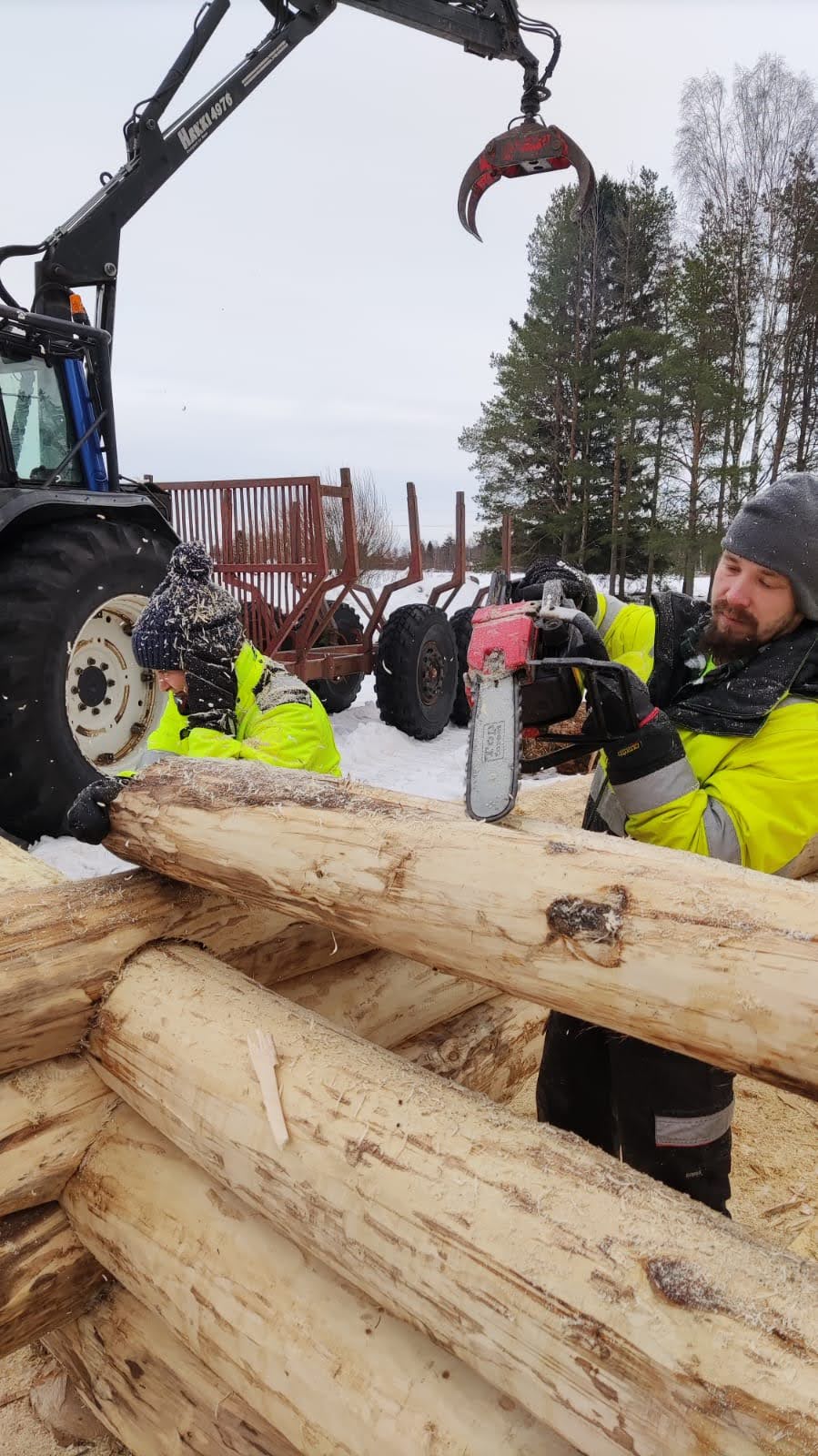 Rustikt shelter af tykke stammer