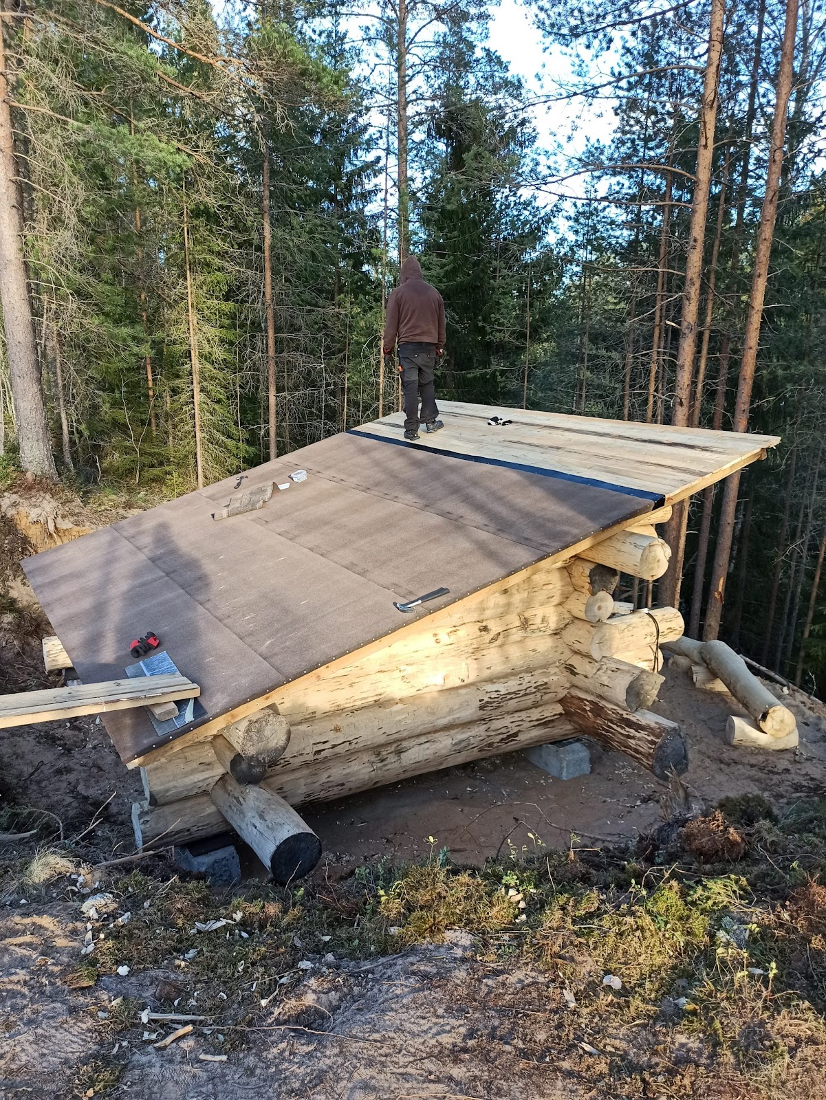 Rustikt shelter af tykke stammer