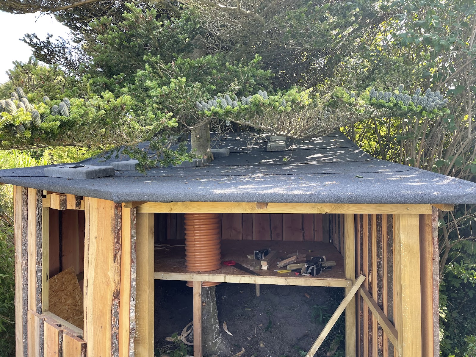 Victors træhule/shelter