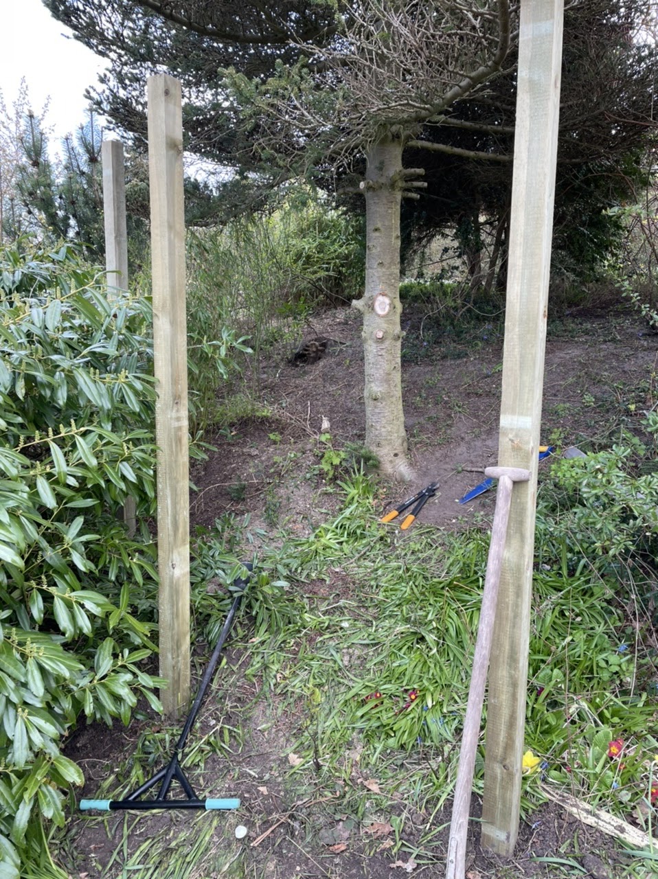 Victors træhule/shelter