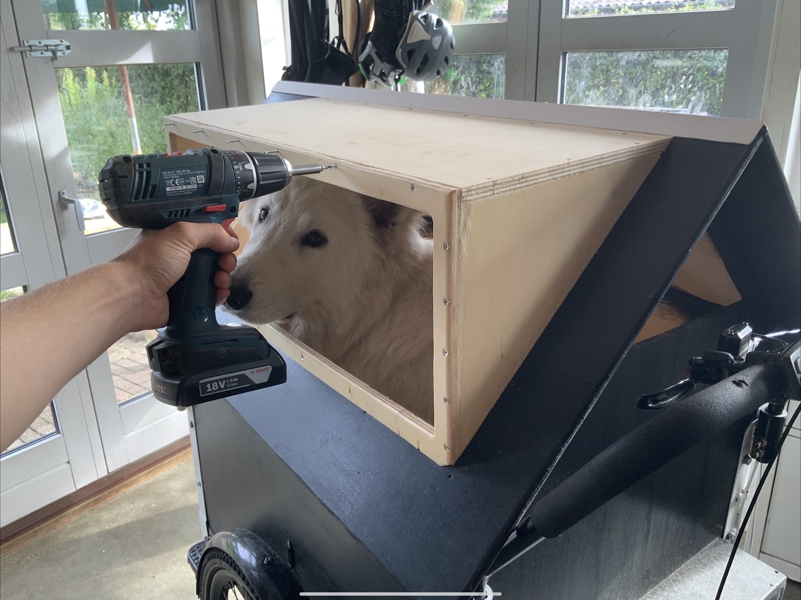 Koirankoppi laatikkopyörään