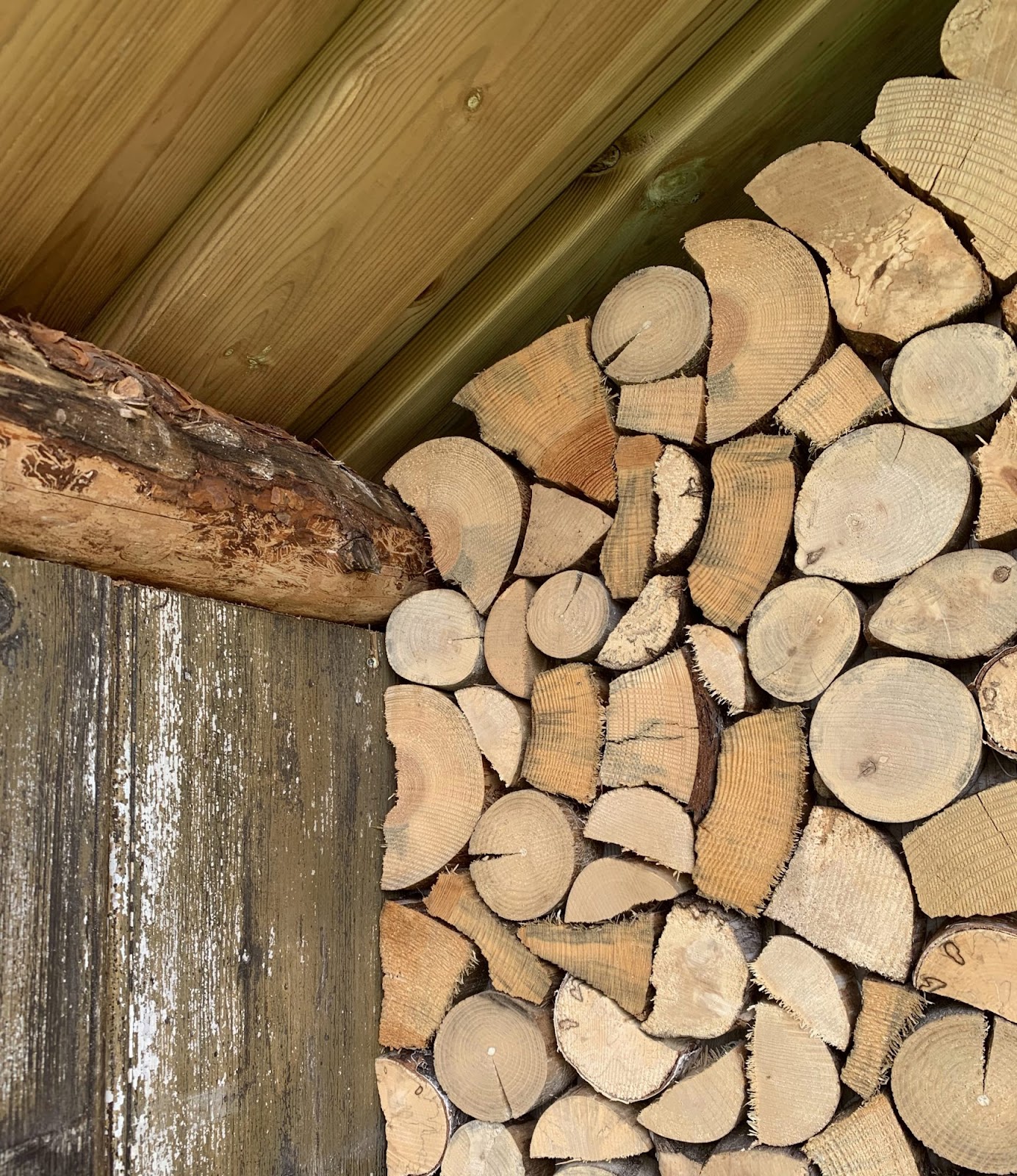 Halkokatos kahvittelupaikalla