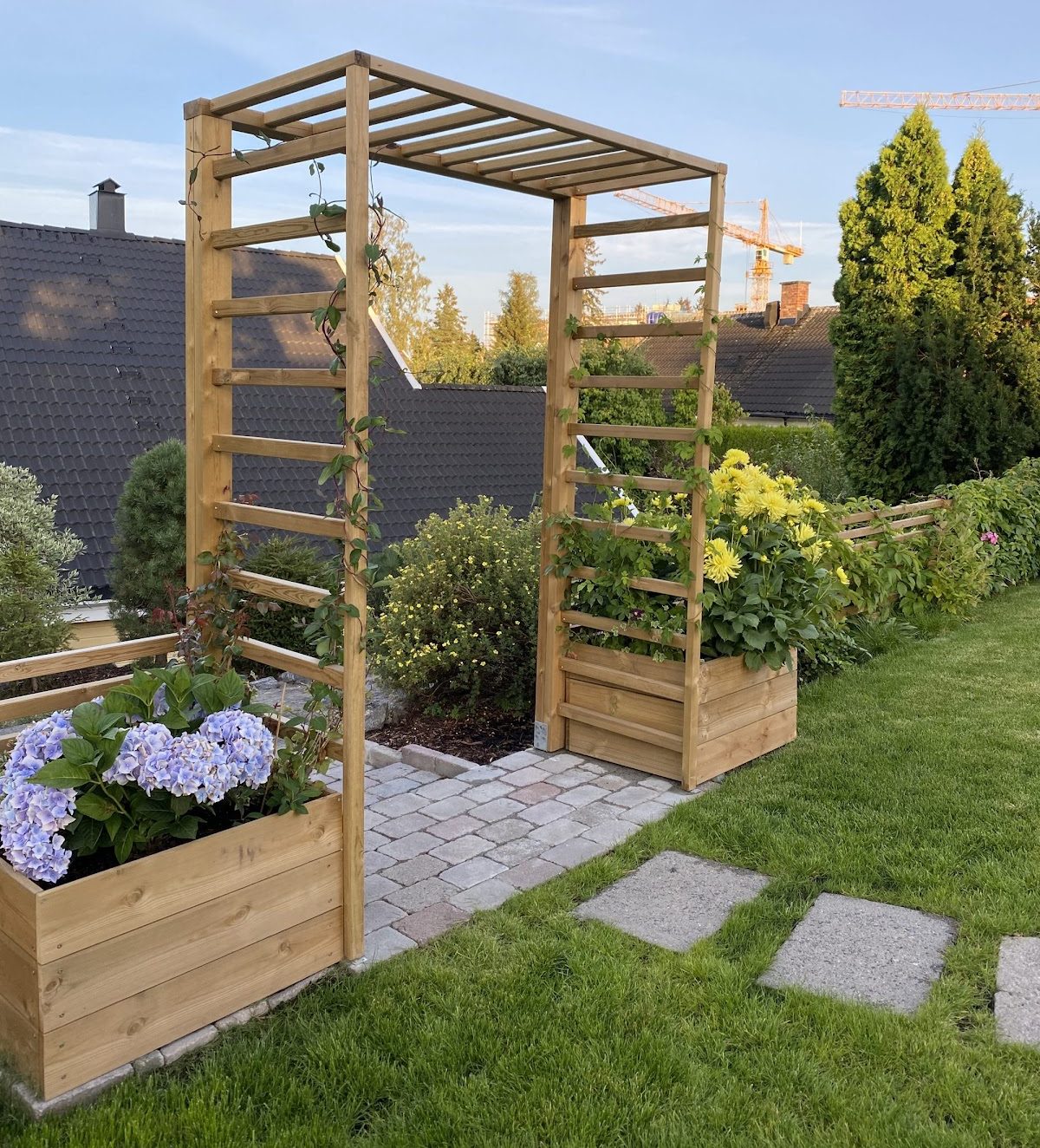 Pergola köynnöskasveille