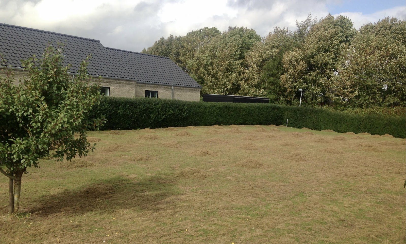 Viihtyisä nuotiopaikka