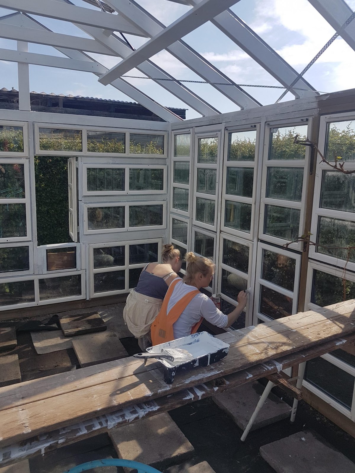 Kasvihuone siirtolapuutarhassa