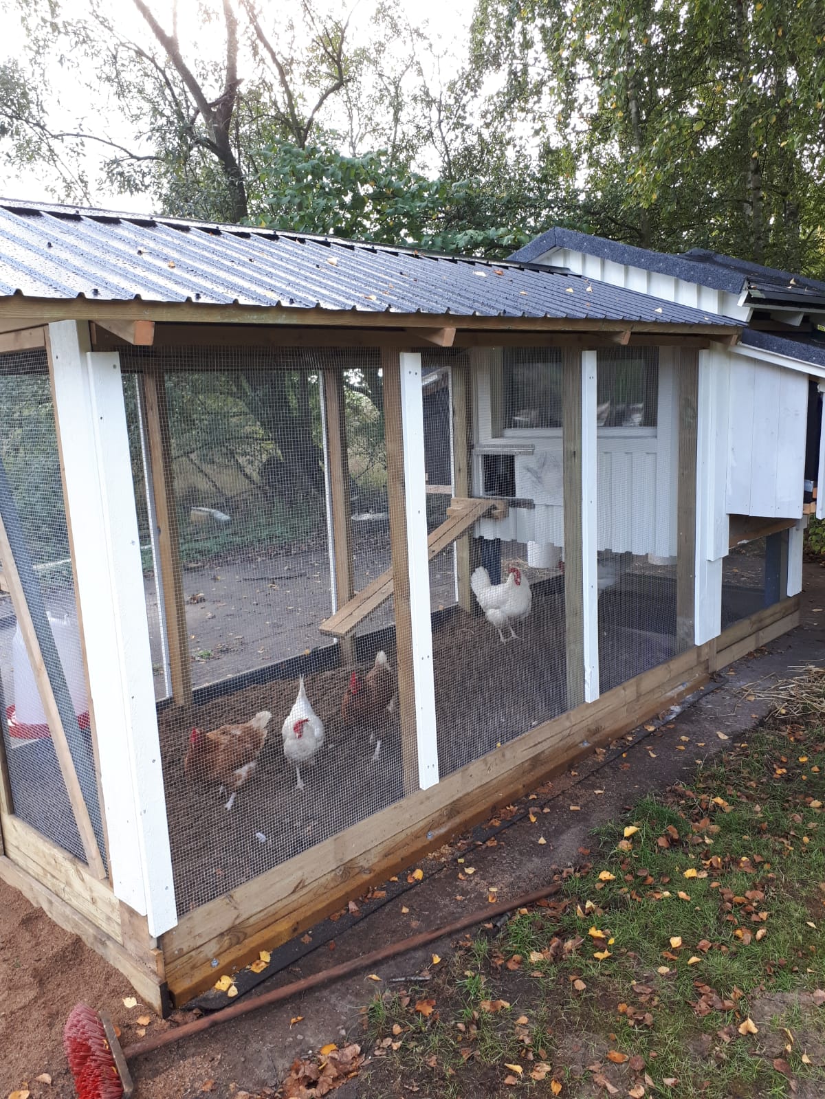 Kehittynyt kanakoppi