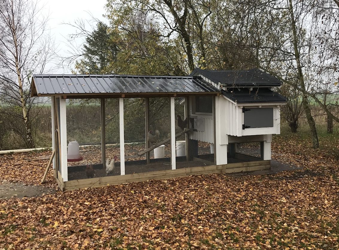 Kehittynyt kanakoppi