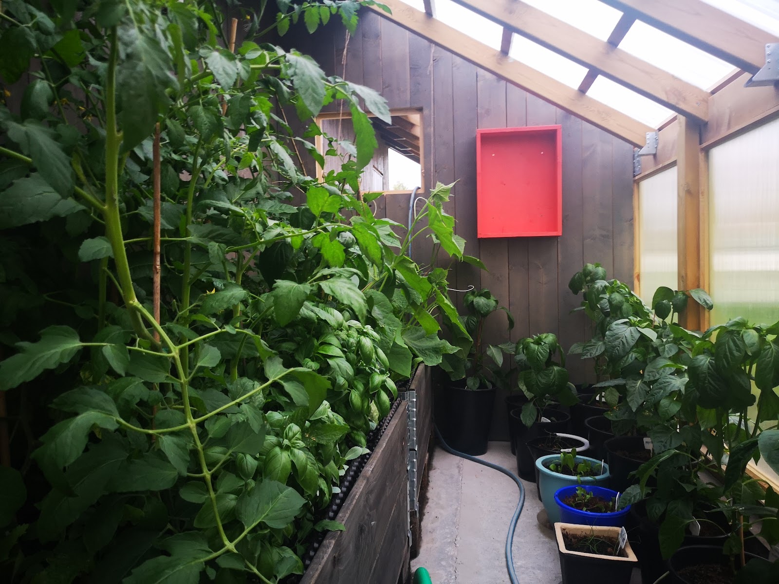 Kasvihuone autotallin jatkeena