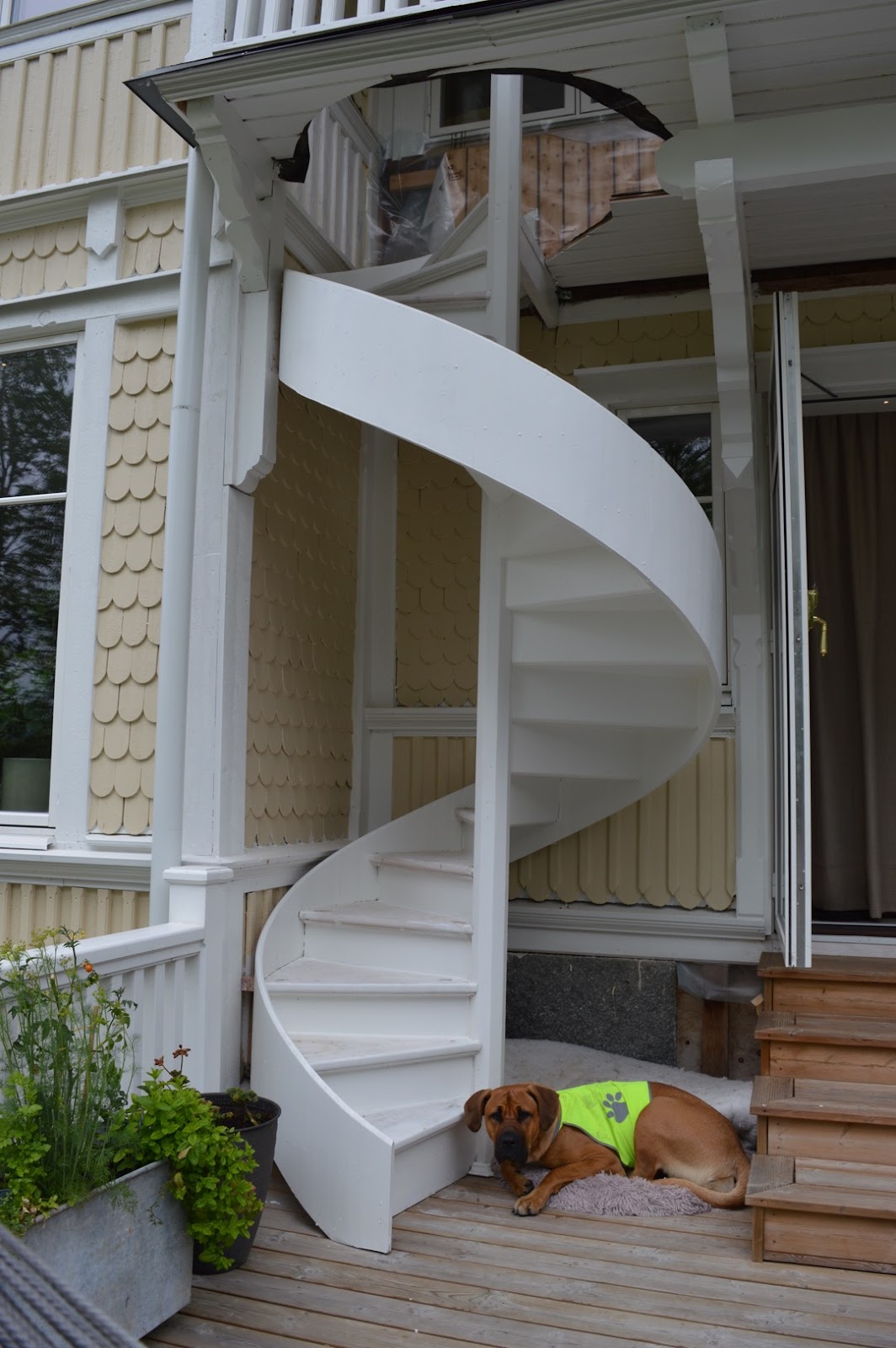 Puiset kierreportaat