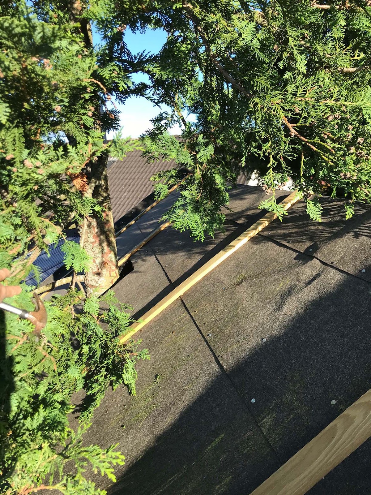 Drømme-lekehytte i treet!