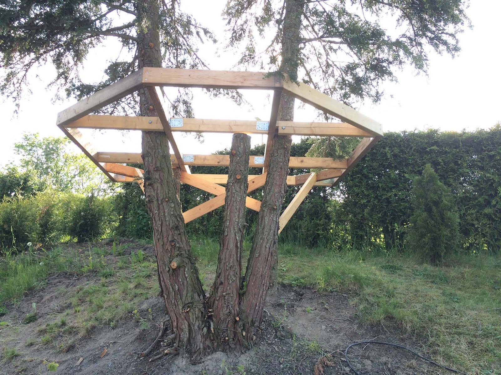 Drømme-lekehytte i treet!