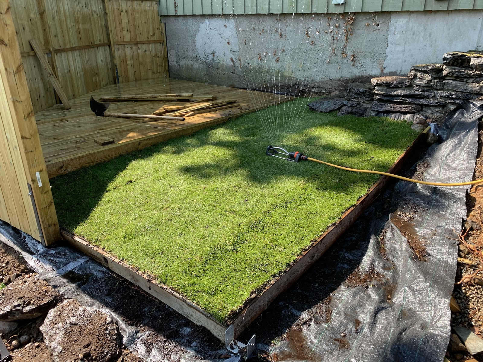 Luftegård til liten hund