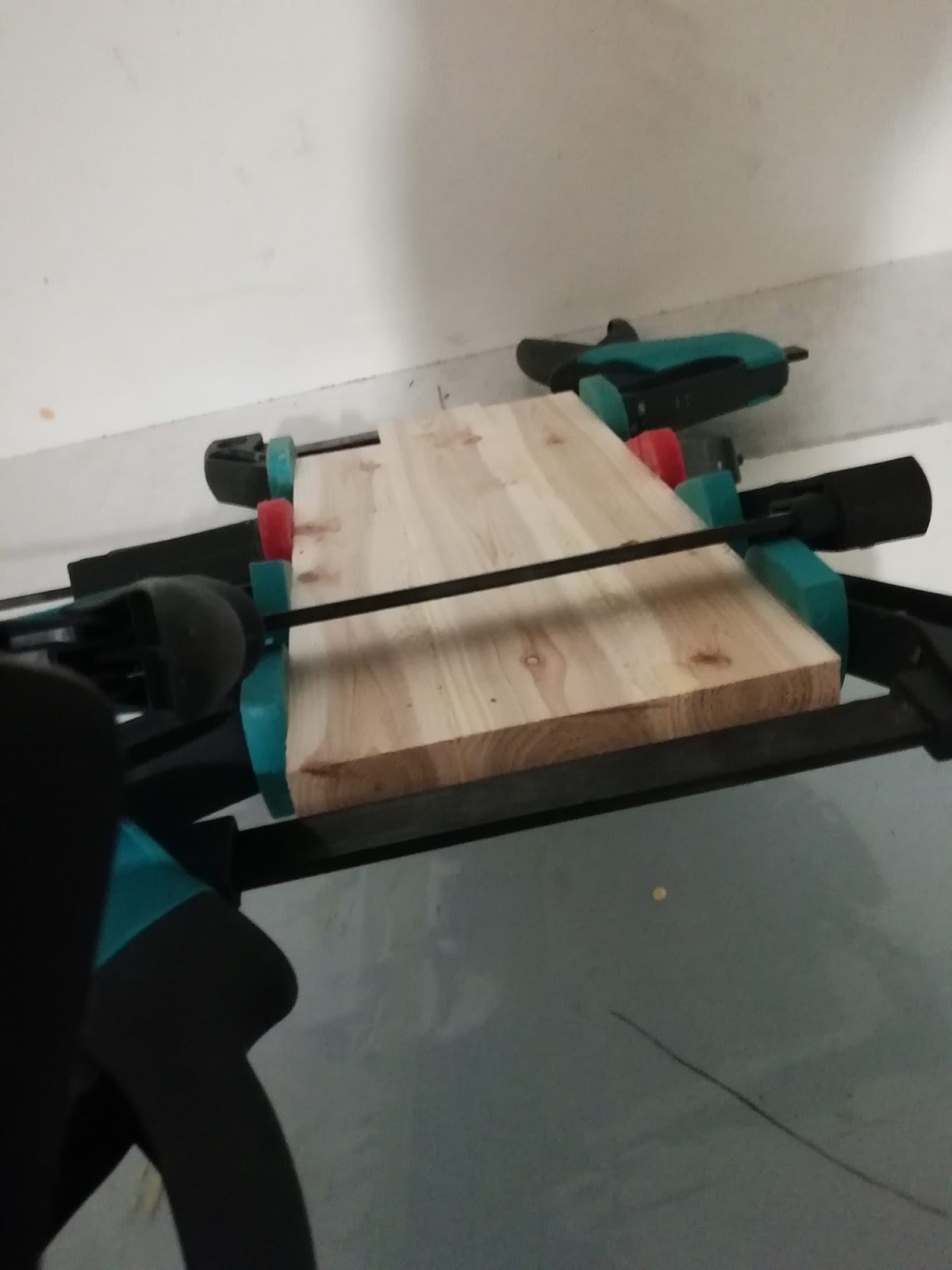 Treeske i eik, bøk og thuja