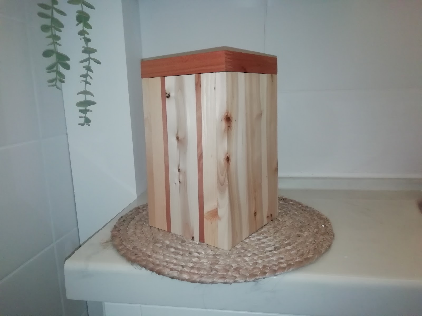 Treeske i eik, bøk og thuja