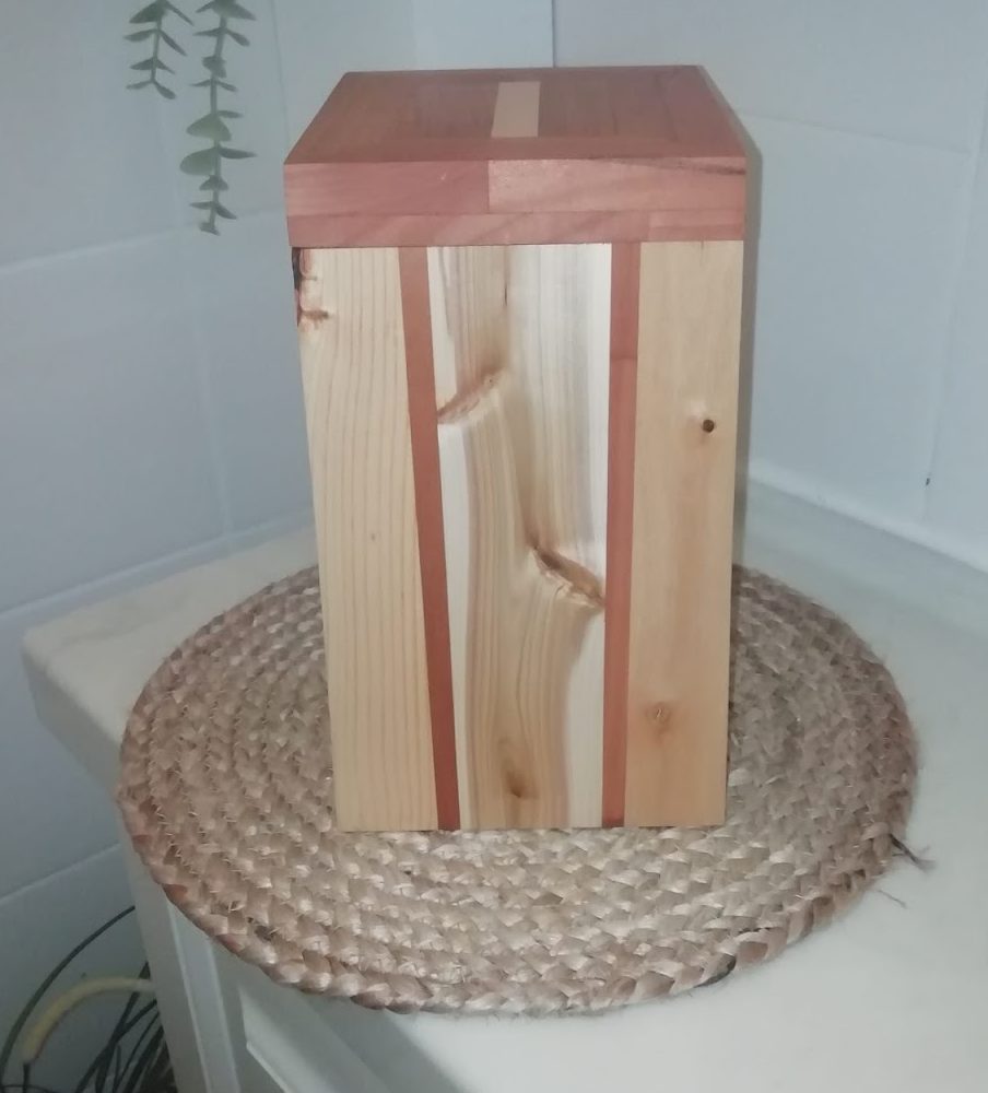 Treeske i eik, bøk og thuja