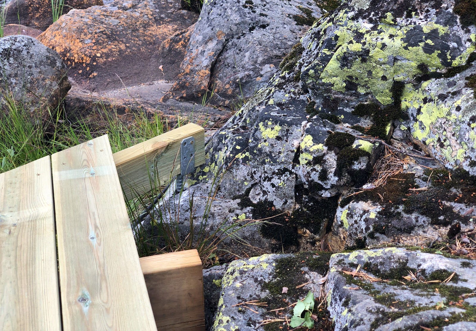 Brygge til barnebarna