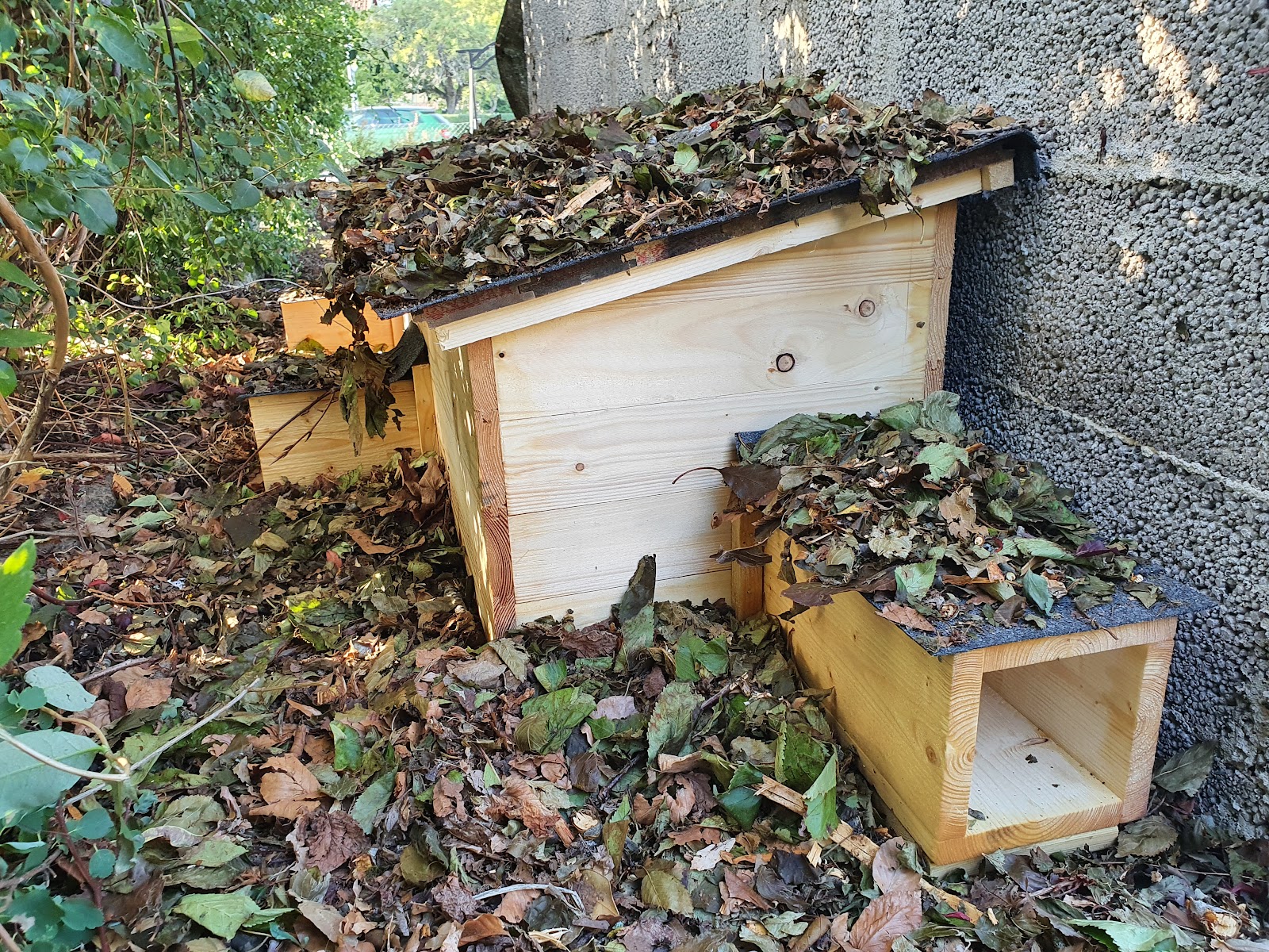 Rekkehus for pinnsvin