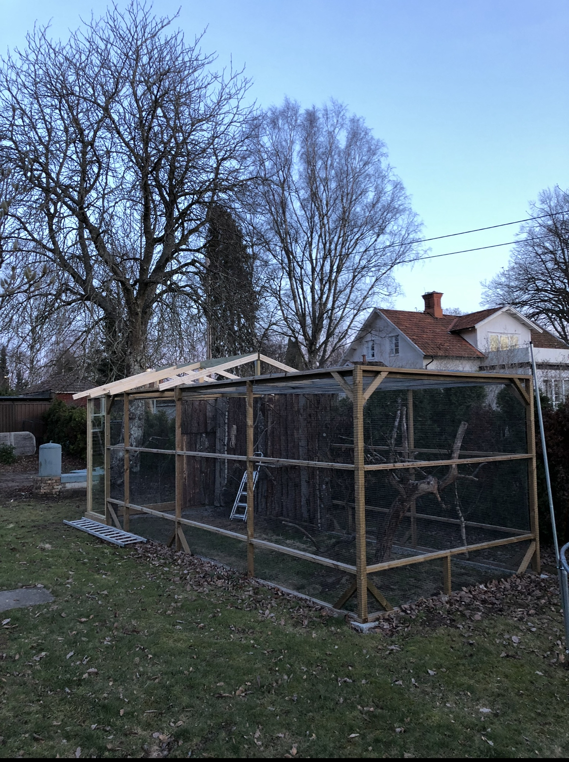 Voliere for tropiske fugler