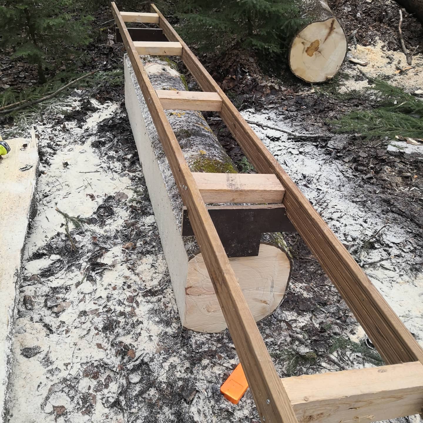 Vedbod med mye frisk luft til veden