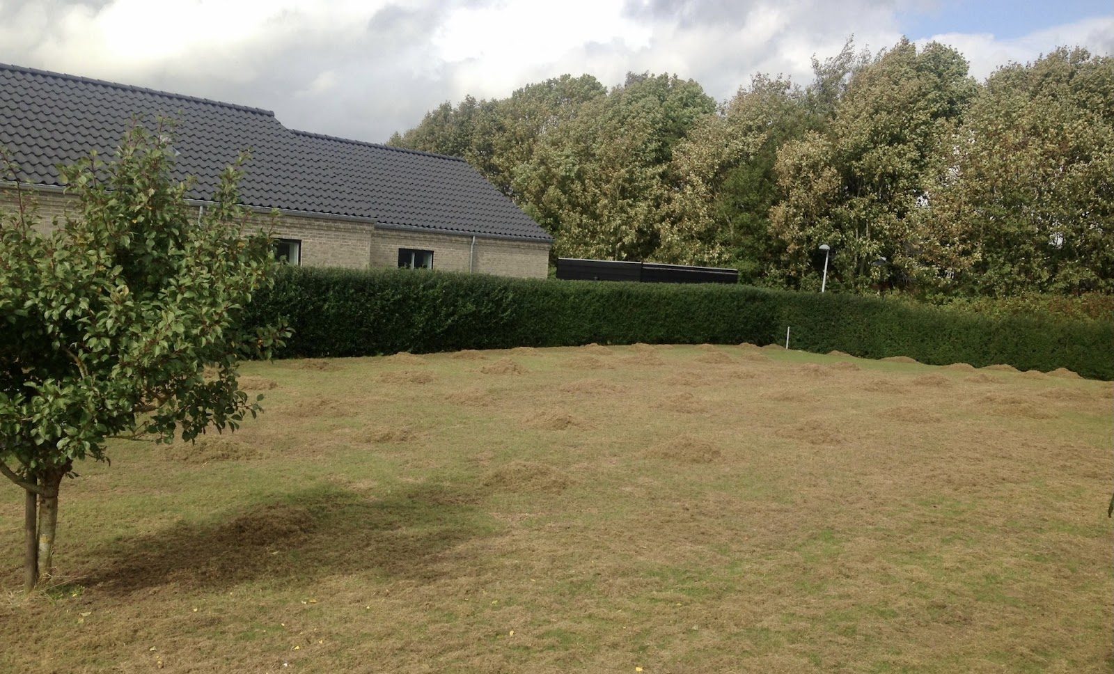 Koselig hjørne med peis